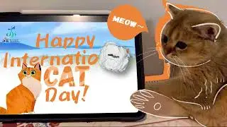 Cats React to Jiangsu's Scenery, Food & Wildlife - You Won’t Want to Miss This!