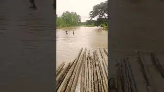bencana alam (banjir)
