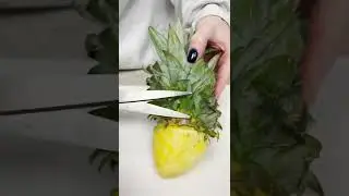 #shorts Pineapple Parrot 🦜 🍍@#tipsybartender #bartender #cocktail #gar