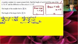 Nonlinear System Word Problem 3 - captioned