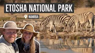 Wildlife Wonderland: 6 Epic Days in Etosha National Park