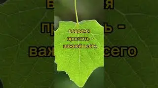 "Истинная цена человека" В Ток