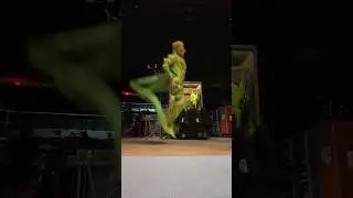 cricket Macarena