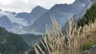 Orientasi masalah mekanisme pernapasan manusia