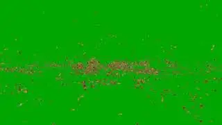 Wind Essential || Leaf's blowing on wind on green screen background ||