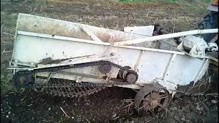 Трактор Т-25 с картофелекопалкой, копаем картошку.