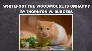 WHITEFOOT THE WOODMOUSE IS UNHAPPY - Whitefoot the Woodmouse / to listen the book