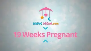 19 Weeks Pregnant | pregnancy signs and symptoms