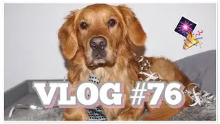 VLOG#76 / SILVESTER & FROHES NEUES 🎆❤️