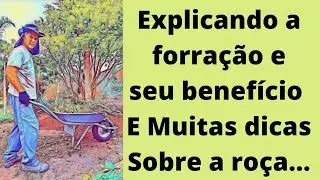 Uma conversa sobre forração, irrigação, uso de eucalipto pra calçar canteiros com um tur pela horta.