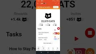 cats airdrop 6 de octubre #hamsterkombat #catsairdrop #airdrop #combodiario