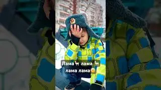 Лама 🦙 Кринге. 