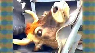 12 Minutes Satisfying Videos and showing the Modern Agriculture Machine || Modern Technique || 🤺🦾