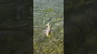 It's not about the fishing. #flyfishing #onthefly #fishinglife