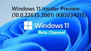 Cumulative Update for Windows 11 Insider Preview (10.0.22635.3061) (KB5034215)
