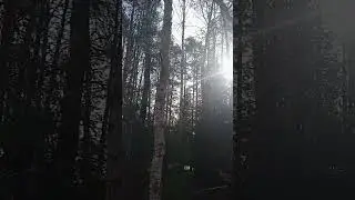 ❤ ВЕСНА ИДЁТ !!! ❤ ВЕСНЕ - ДОРОГУ !!! ❤