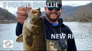 5lb SMALLMOUTH...New River Day 2
