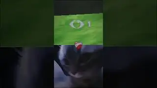 #POV #shorts #fortnite #foryou #fortniteclutch #funny #trending #cat