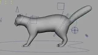 Cat Character Rig
