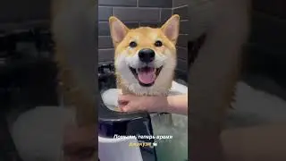 😃 СЧАСТЛИВЫЙ МАРТИ - СТОРИС ЭДИСОН МАЙНКРАФТ @EdisonPts #edison #edisonpts #эдисон