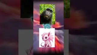 ❤️ Выбери себе питомца ❤️