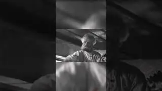 Погоди, погоди, дедулюшка! Вот выпадут у тебя зубы, я тебе жевать не буду! 😀 
