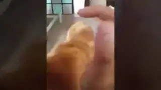 Две дырки в одной дырке