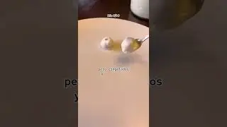 Día 8/10: pal veranito