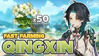 Qingxin: Quick Farming Locations & Fast Route | Genshin Impact