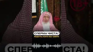Сперма чиста! Абдуль Азиз аш-Шейх