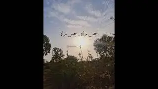 jis rah, jis rah mai jao |urdu poetry | WhatsApp status | Urdu lyrics video