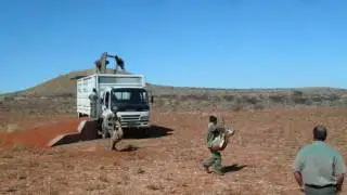 Zuidafrika foto's