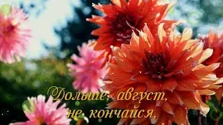 Август, дольше не кончайся!