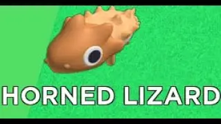 How to get the Horned Lizard - Find The Animals