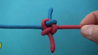 узел Икс Мандевиля