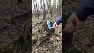 Метание ножей #лес #метание #метаниеножей #лесное #ножи #хобби #шортс