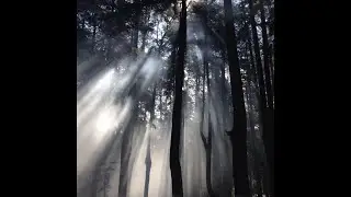 (FREE) Fallen777Angel x Archive Core type beat "Не Вернусь"