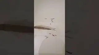 Рыбка ждет таяния льда на реке.