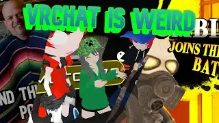 When you play VrChat...
