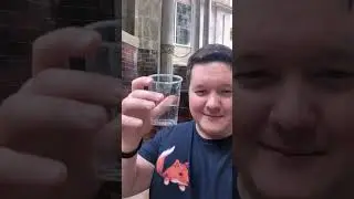 Erosium Drinks Spanish Sulfur Water...