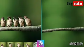Cara hapus objek foto _ picsart