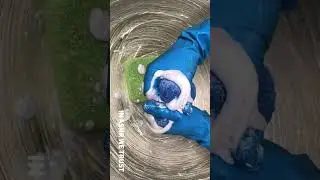 Blue & Green Big Plastic Sponges | asmr sponge squeezing 