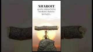 Sharoit... #manolisozlar #aqlligaplar #manoligaplar #mybloopers #shorts #short #sevgi #aql