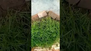 about nature.plz support me