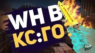 Бесплатный чит для CS:GO (wh,aim| rage\legit |Trigger(esp) не палится VAC-после обновы на 06.03.2017