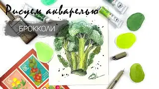 Рисуем брокколи. Уроки рисования. Акварельный скетчинг