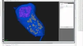 Hawkc mesh viewer