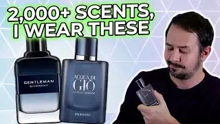 I Own 2,000+ Fragrances But THESE Are 10 I ACTUALLY Wear!