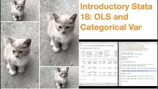 Introductory Stata 18: OLS and Categorical Variables