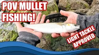 POV Mullet Fishing in Scotland on Light Lure Fishing Tackle